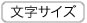 文字サイズ